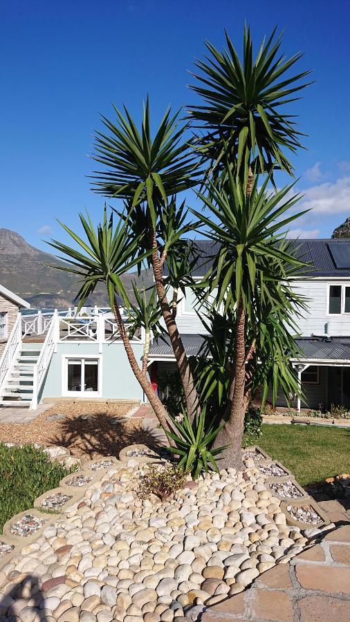 Villa Amanzi Hout Bay Exteriör bild