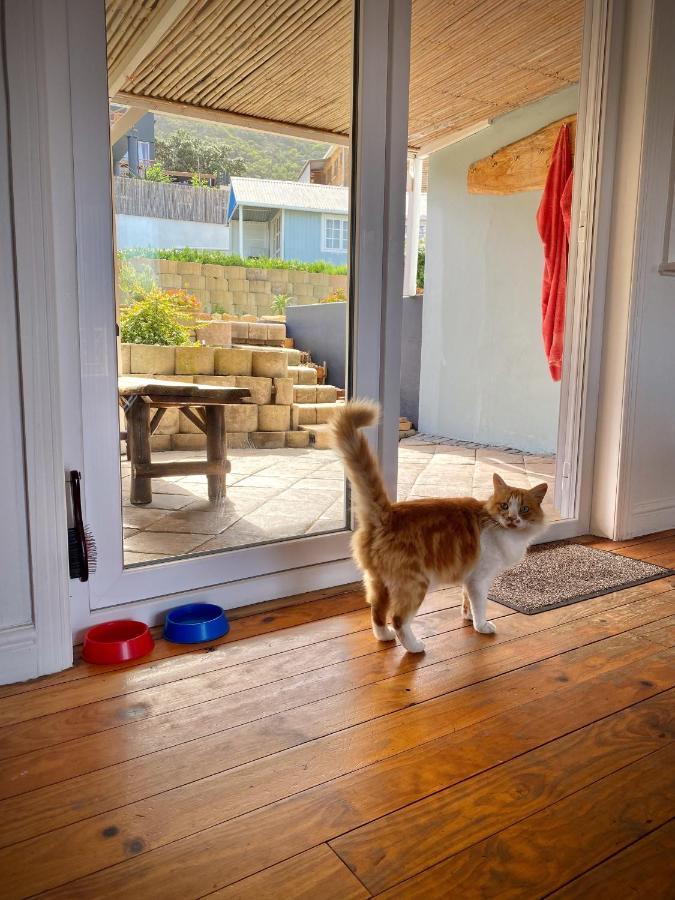 Villa Amanzi Hout Bay Exteriör bild